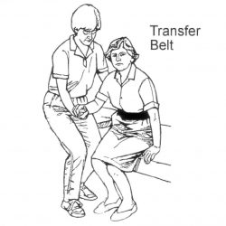 Transfer-Minimum-1-Assist-Transfer-Belt